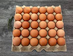 Fresh eggs
